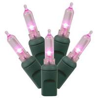 Vickerman 50 Light 25' Green Wire Pink Italian LED Miniature String with 6" Spacing