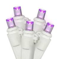 Vickerman 50 Light 25' White Wire Purple 6" Spacing Wide Angle LED String Set