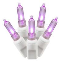 Vickerman 50 Light 25' White Wire Purple Italian LED Miniature String with 6" Spacing