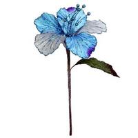 Vickerman 21" Aqua Velvet Sheer Hibiscus 6" Flower Pick