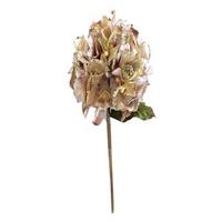 Vickerman 29" Champagne Velvet Hydrangea 7" Flower