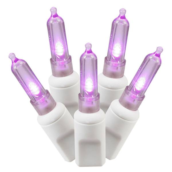 100 Light 34' White Wire Purple Italian LED Miniature Lights with 4" Spacing