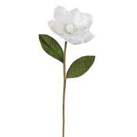 Vickerman 26" White Magnolia Glittered Edge Pick