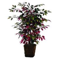 Click to view larger photo