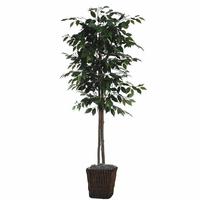 Vickerman 72" Potted Artificial Ficus Tree