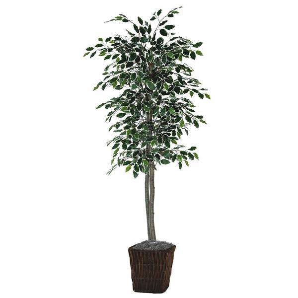 72" Artificial Variegated Deluxe Ficus in Square Willow Container