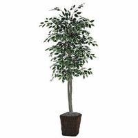 Vickerman 72" Artificial Variegated Deluxe Ficus in Square Willow Container
