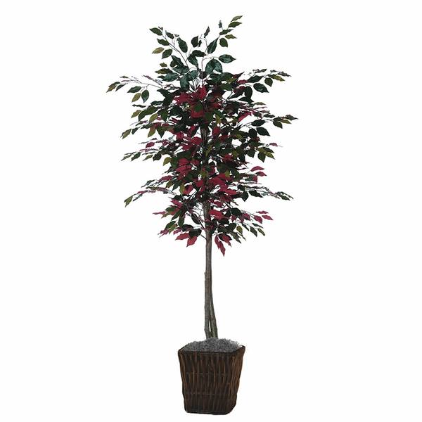 6' Artificial Capensia Tree