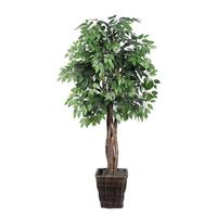 Vickerman 72" Potted Artificial Executive Ficus Tree