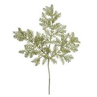 Vickerman 22" Lime Glitter Cypress Spray (12 pack)