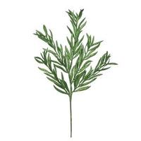 Vickerman 22" Green Glitter Heather Spray (12 pack)