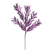 Vickerman 22" Purple Glitter Heather Spray (12 pack)
