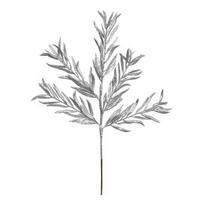 Vickerman 22" Silver Glitter Heather Spray (12 pack)