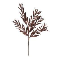 Vickerman 22" Chocolate Glitter Heather Spray (12 pack)