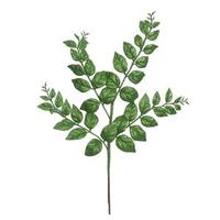 Vickerman 22" Green Glitter Honey Locust Spray (12 pack)