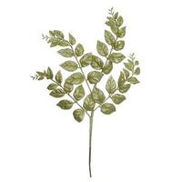 Vickerman 22" Lime Glitter Honey Locust Spray (12 pack)