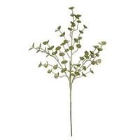 Vickerman 22" Lime Glitter Eucalyptus Spray (12 pack)
