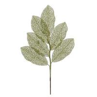 Vickerman 22" Lime Glitter Magnolia Spray (12 pack)
