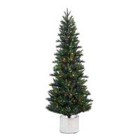 Vickerman 6' x 32" Artificial Stockton Spruce 300 Multi-Color Italian LED Lights with Pine Cones
