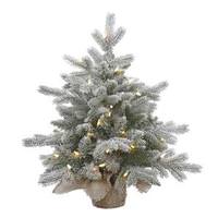 Vickerman 24" x 24" Artificial Frosted Sable Pine 50 Clear Miniature Lights