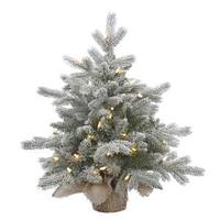 Vickerman 24" x 24" Artificial Frosted Sable Pine 50 Warm White Italian LED Lights