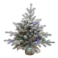 Vickerman 24" x 24" Artificial Frosted Sable Pine 50 Multi-Color LED Lights