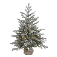 Vickerman 36" x 28" Artificial Frosted Sable Pine 100 Clear Miniature Lights