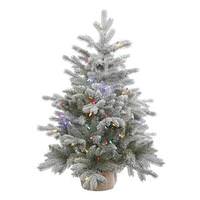 Vickerman 36" x 28" Artificial Frosted Sable Pine 100 Multi-Color LED Lights
