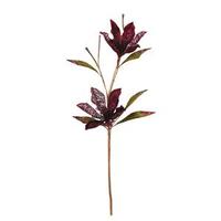 Vickerman 23" Burgundy Velvet Magnolia 6" Flower Pick
