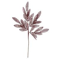 Vickerman 22" Burgundy Glitter Mesh Bay Leaf Spray (12 pack)
