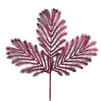 Vickerman 22" Artificial Burgundy Glitter Peacock Tail Spray (12 pack)