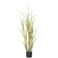 Vickerman 6' Artificial Sugarcane Grass with Pot