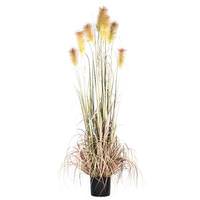 Vickerman 6' Artificial Brown Reed Grass with Pot