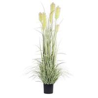 Vickerman 60" Artificial Green Reed Grass in Black Pot