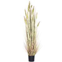 Vickerman 5' Artificial Grain Grass with Pot