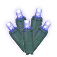 View 200 Light 100' Green Wire Blue Wide Angle LED Set 6" Spacing
