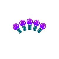 Vickerman 25 Light 16' Green Wire Purple Ceramic G30 LED String with 8" Spacing
