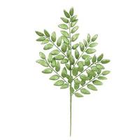Vickerman 22" Artificial Green Glitter Honey Locust Spray (6 pack)