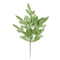 Vickerman 22" Green Glitter Bay Leaf Spray (6 pack)
