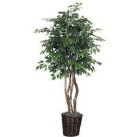 Vickerman 72" Ficus Artificial Heartand Tree in Rattan Container