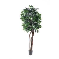 Vickerman 78" Potted Artificial Heartland Ficus Tree