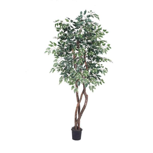 84" Potted Artificial Varigated Heartand Ficus Tree