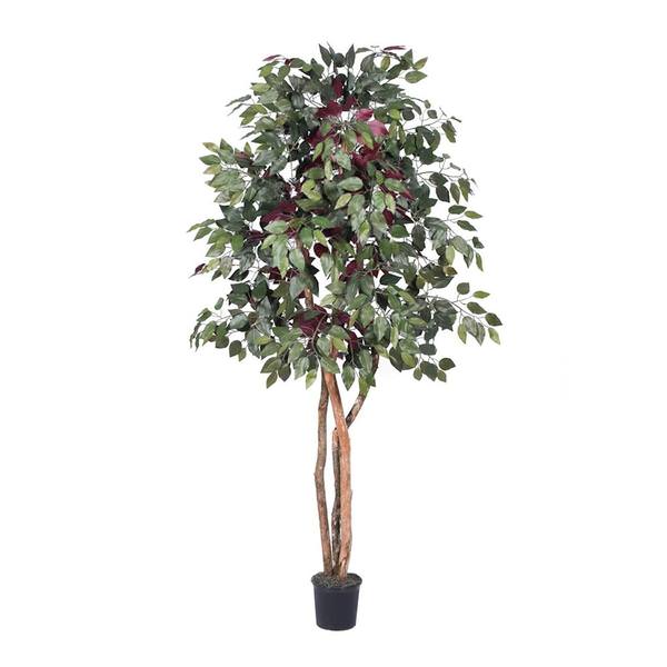 78" Potted Artificial Heartand Capensia Tree
