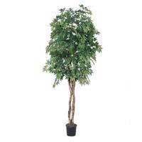 Vickerman 78" Potted Artificial Heartand Ming Aralia Tree
