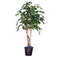 Vickerman 72" Potted Artificial Heartand Sakaki Tree