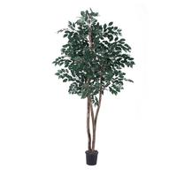 Vickerman 78" Potted Artificial Heartand Sakaki Tree