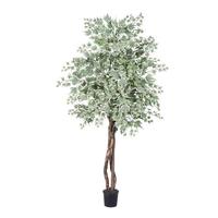 Vickerman 78" Potted Artificial Heartand Silver Maple Tree