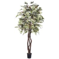 Vickerman 6' Artificial Frosted Maple Heartland Tree