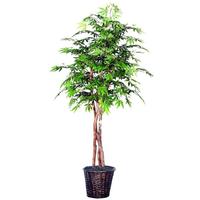 Vickerman 72" Potted Artificial Heartand Japanese Maple Tree