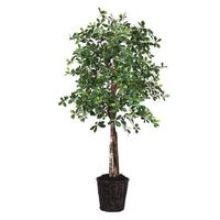 Vickerman 72" Artificial Potted Heartand Black Olive Tree